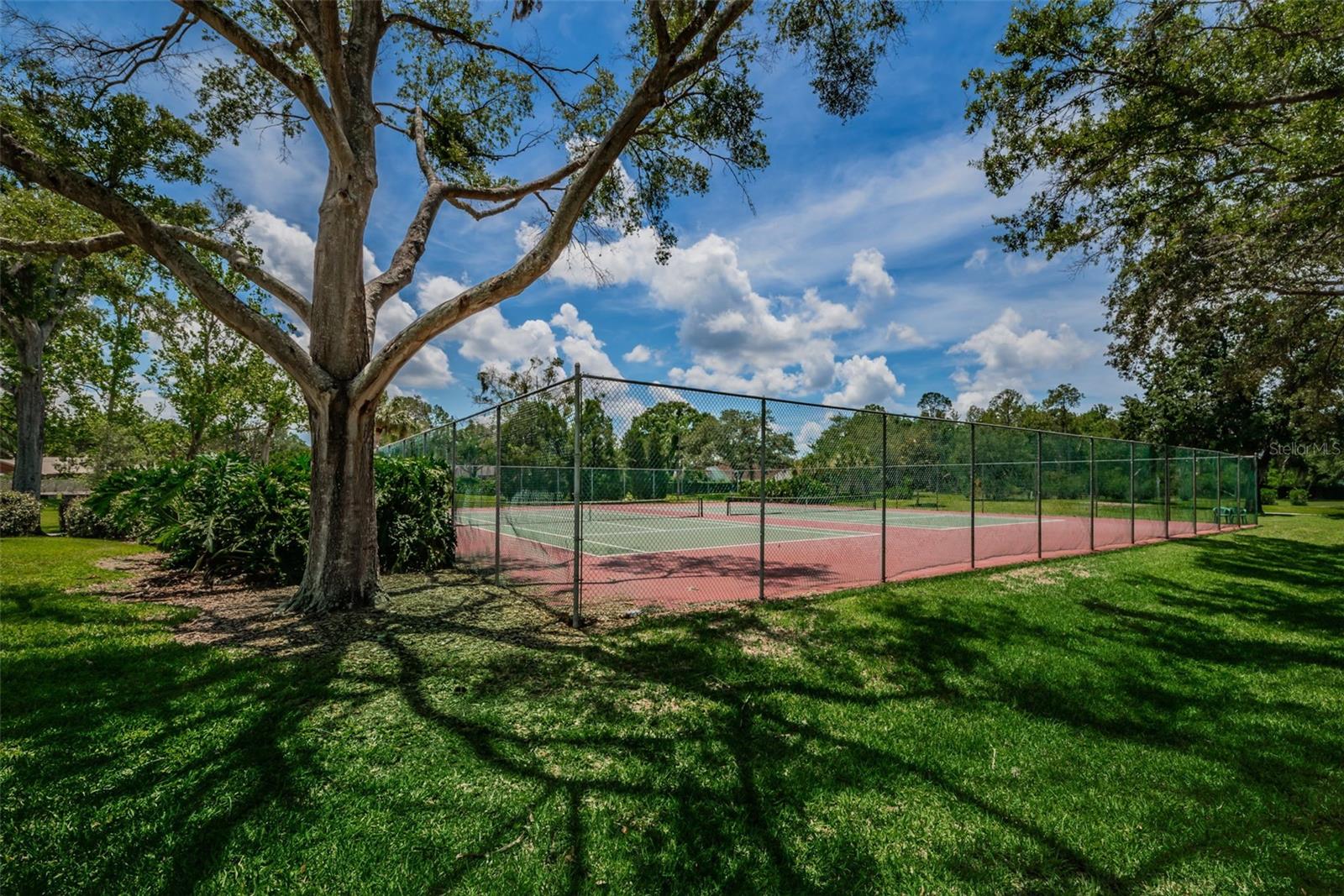 VILLAGE XIV OF CARROLLWOOD VILLAGE - Residential