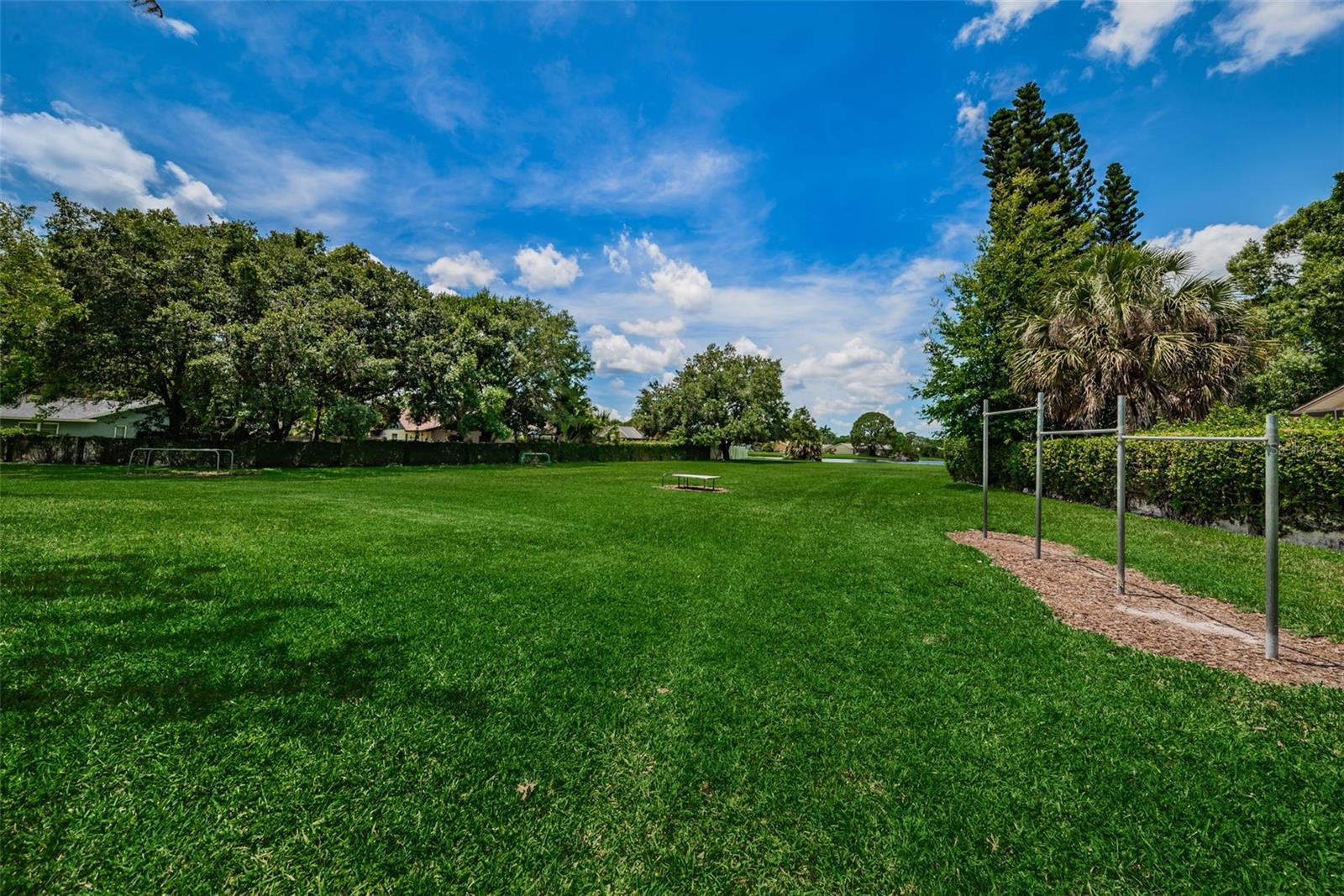 VILLAGE XIV OF CARROLLWOOD VILLAGE - Residential