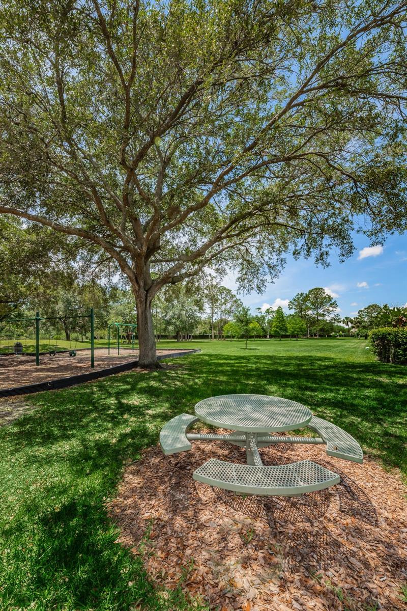 VILLAGE XIV OF CARROLLWOOD VILLAGE - Residential