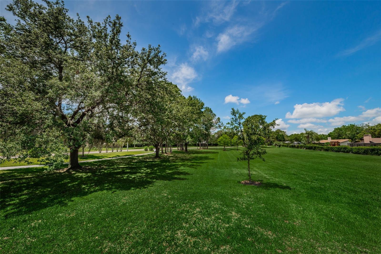 VILLAGE XIV OF CARROLLWOOD VILLAGE - Residential