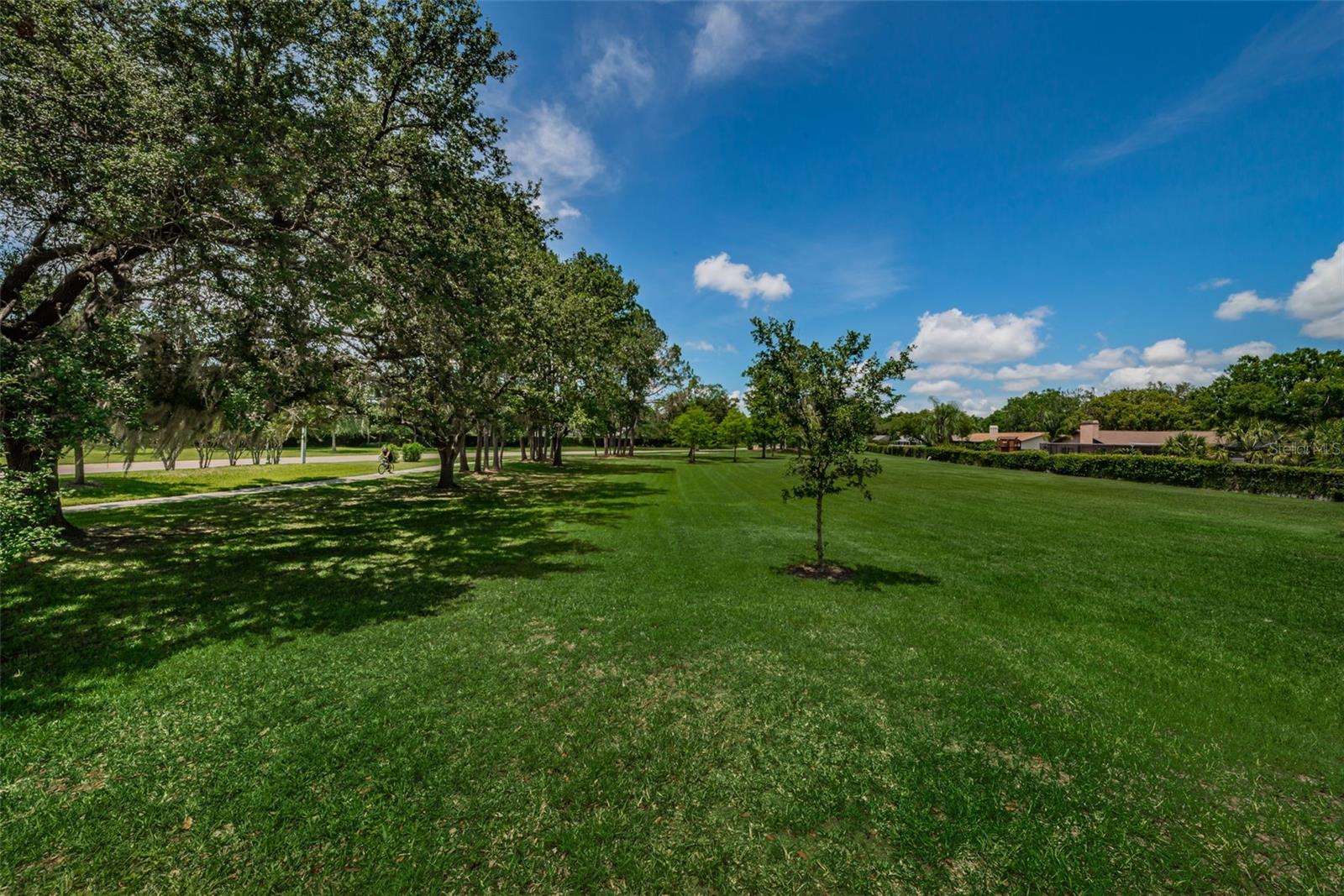VILLAGE XIV OF CARROLLWOOD VILLAGE - Residential