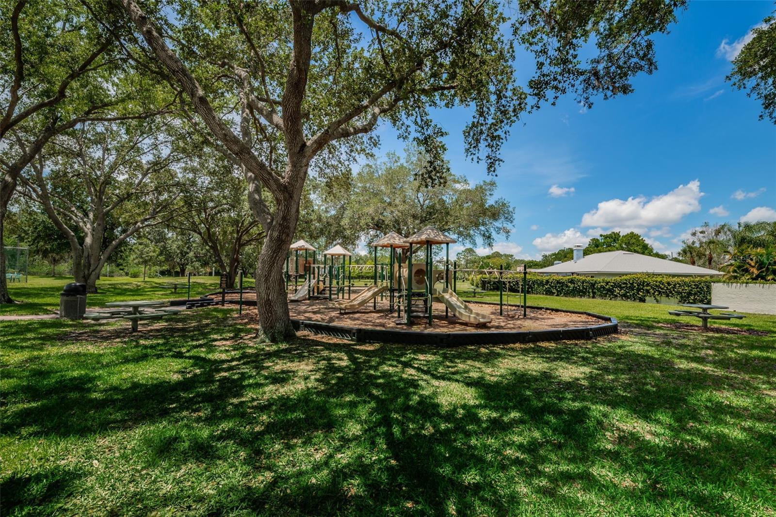 VILLAGE XIV OF CARROLLWOOD VILLAGE - Residential