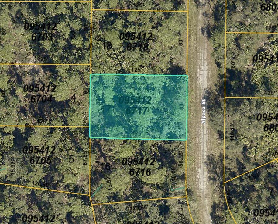 Located in the growing city of North Port, this vacant lot on Alpaca St is a great opportunity to build your dream home or invest in one of Southwest Florida’s fastest-growing areas. With no HOA or deed restrictions, enjoy the flexibility to design your ideal property while being close to shopping, dining, parks, and top-rated schools. Conveniently situated near I-75, US-41, and Gulf Coast beaches, this lot offers both privacy and accessibility. Don’t miss your chance to own land in this thriving community!