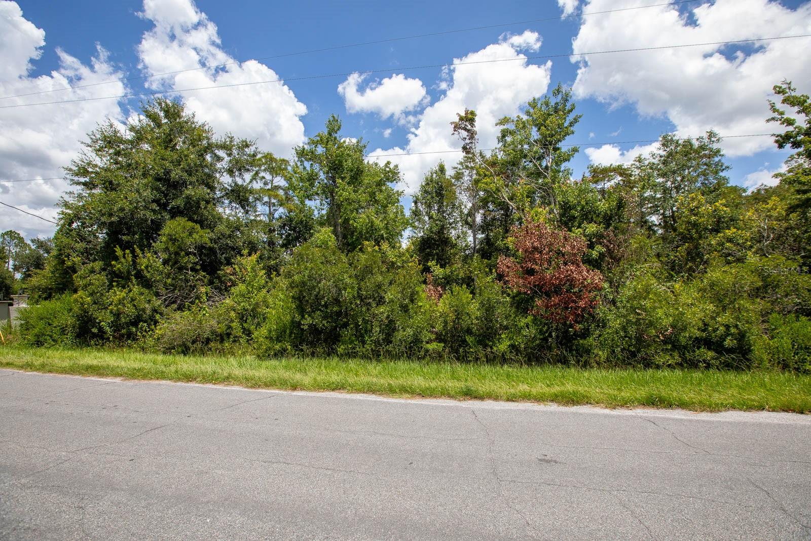 Photo 8 of 24 of 3303 BABBITT AVENUE land