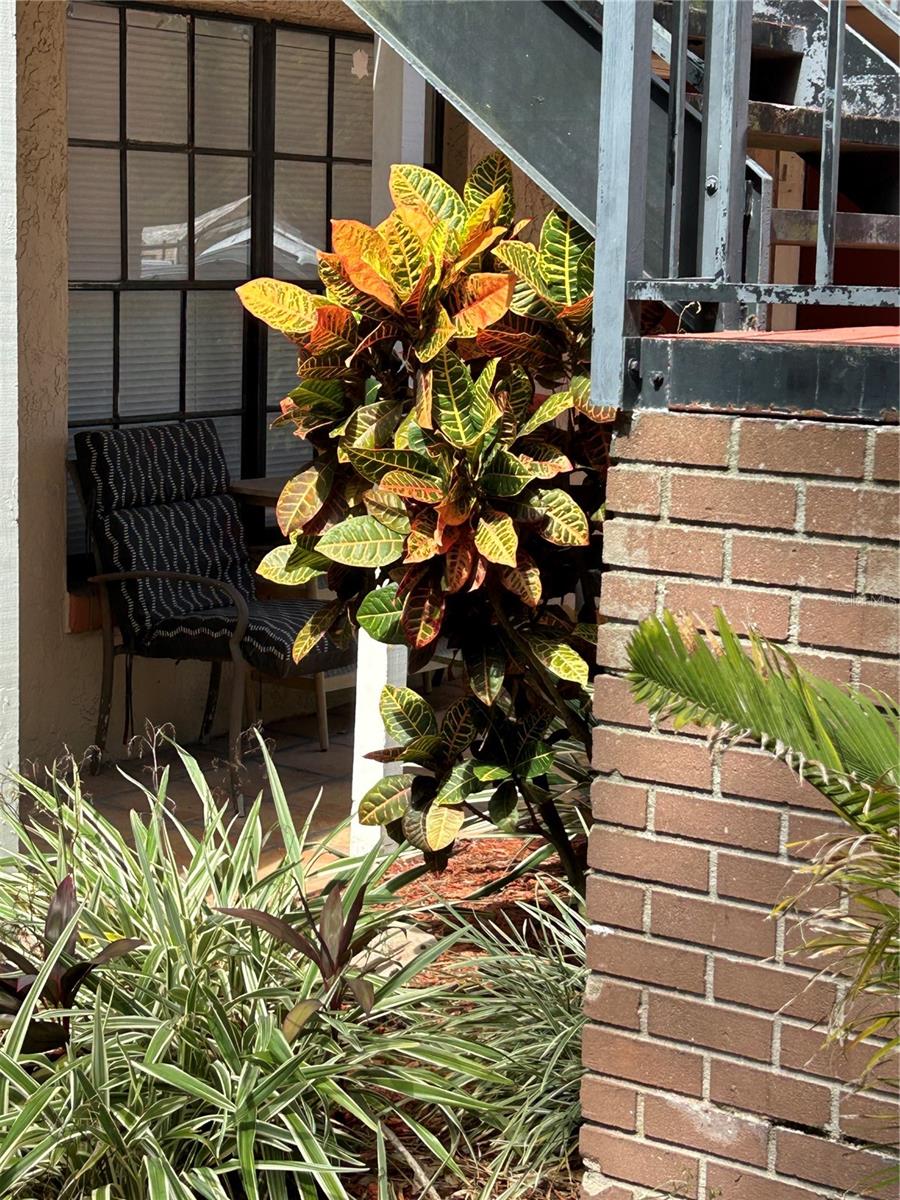 GLENDALE VILLAS - Residential Lease