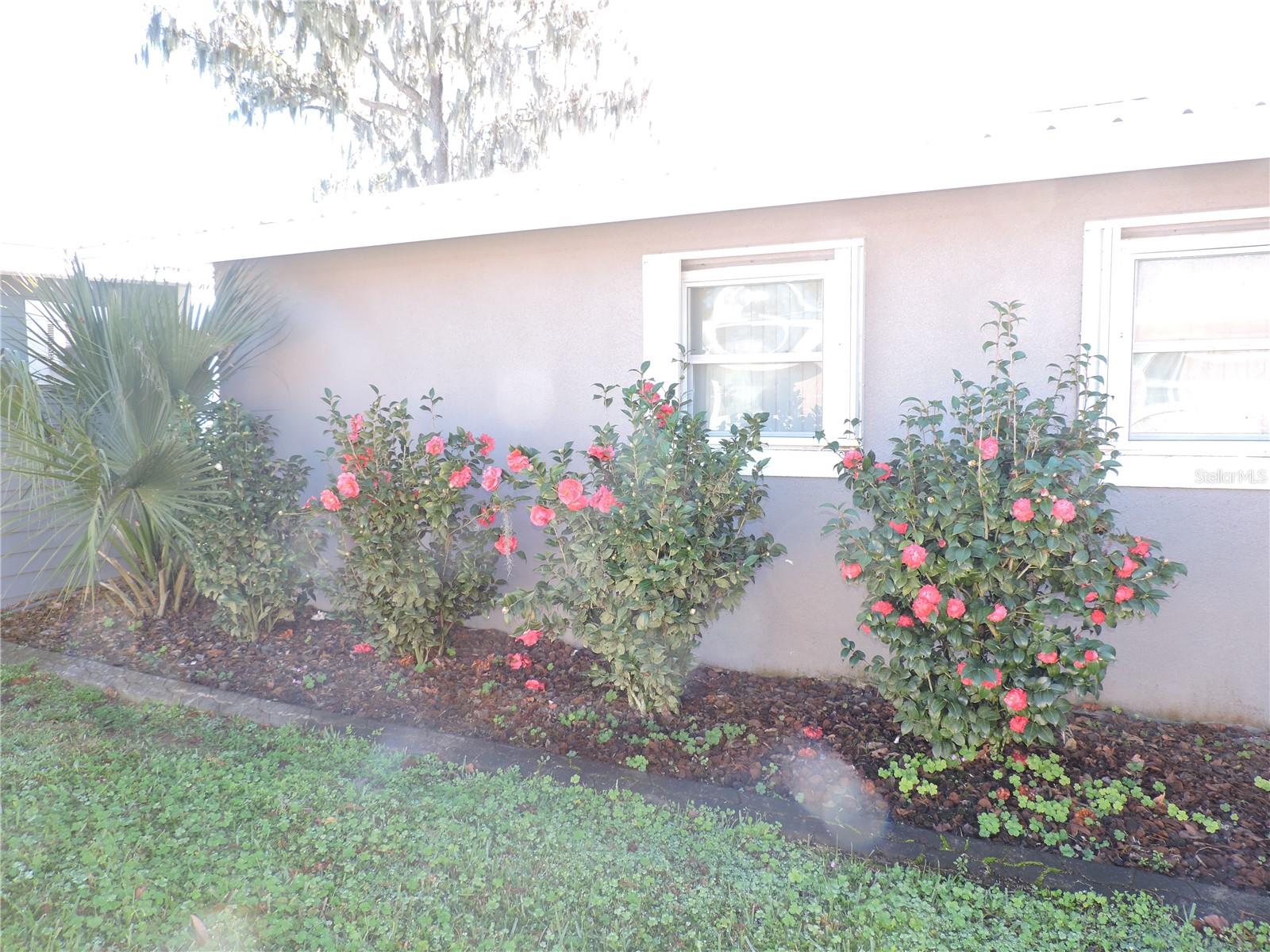 TIMBERLANE - Residential