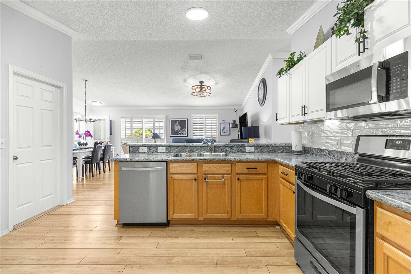 VILLAGES OF SUMTER HICKORY GROVE VILLAS - Residential