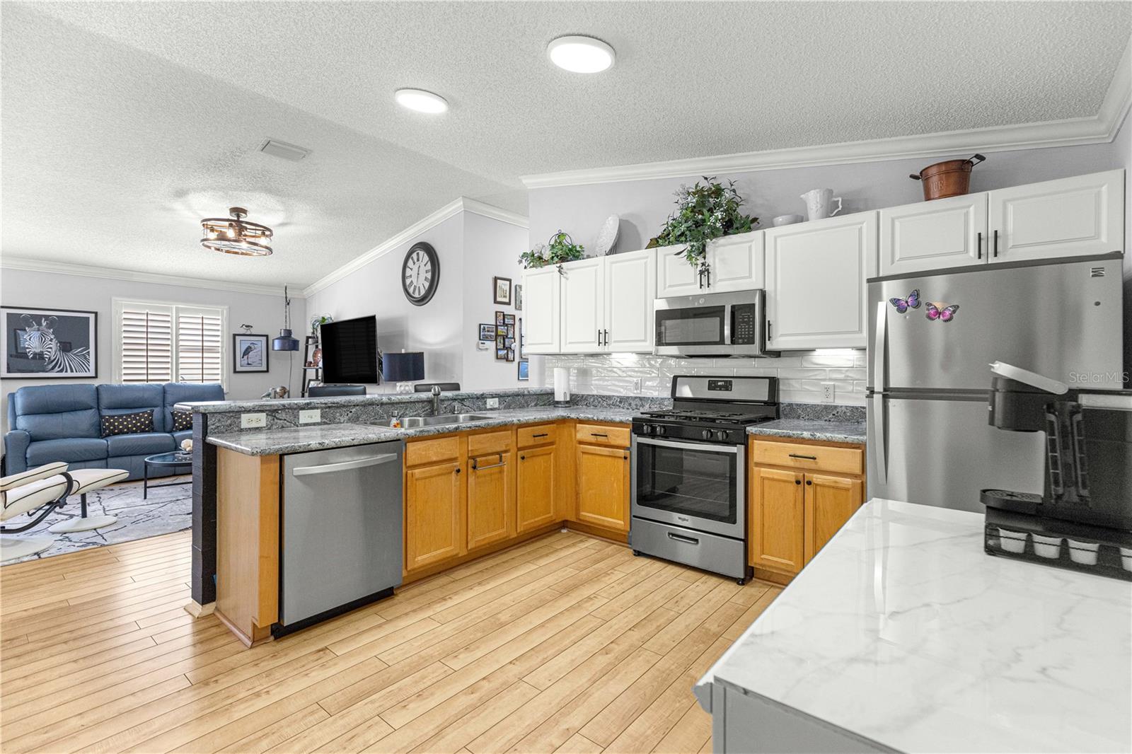 VILLAGES OF SUMTER HICKORY GROVE VILLAS - Residential