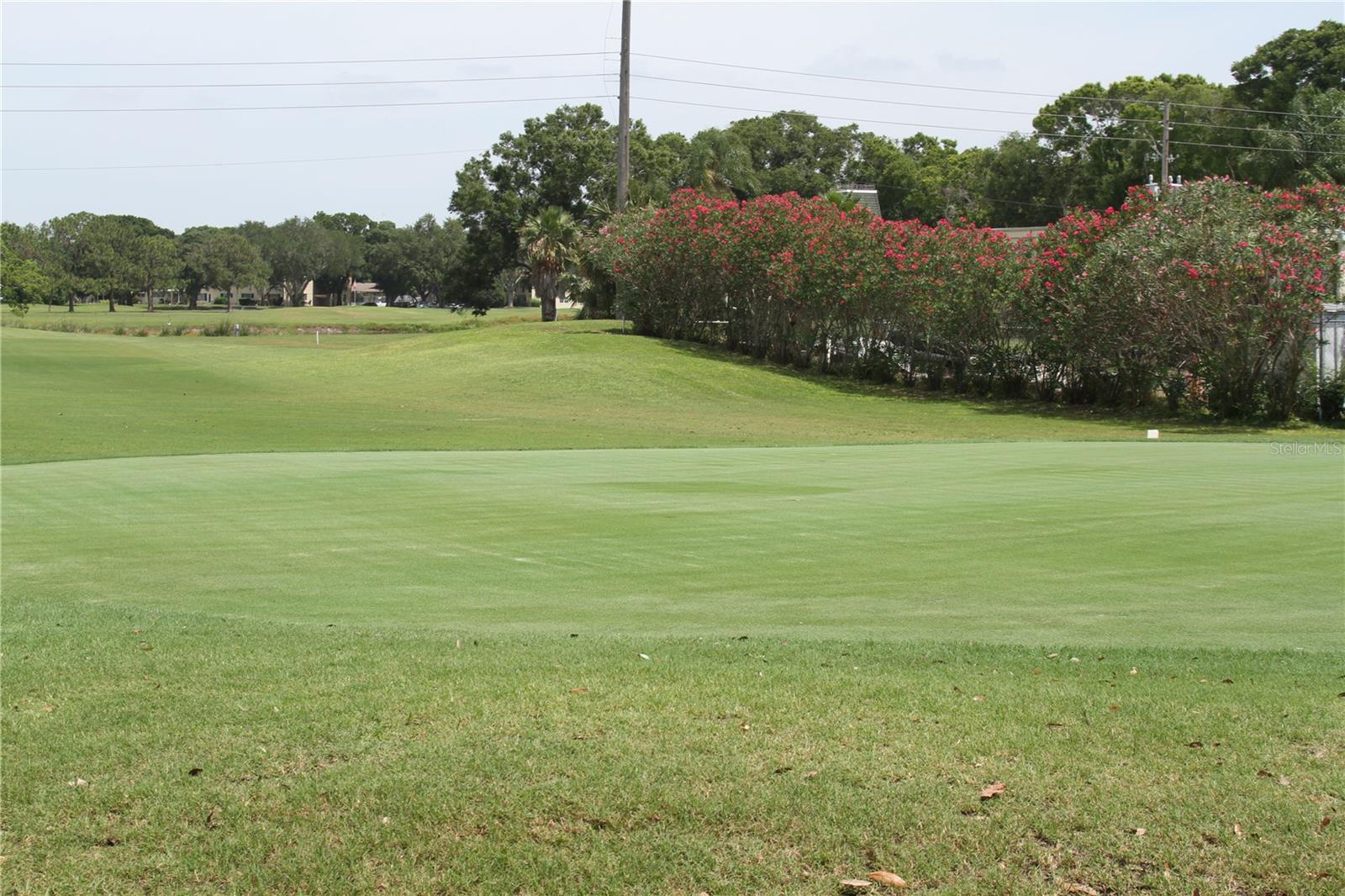 ON TOP OF THE WORLD - Residential