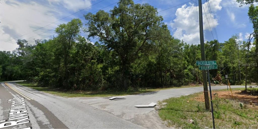 Photo of 8643 N Bachelor Button Way, Crystal River, FL 34428 (MLS # C7515615)