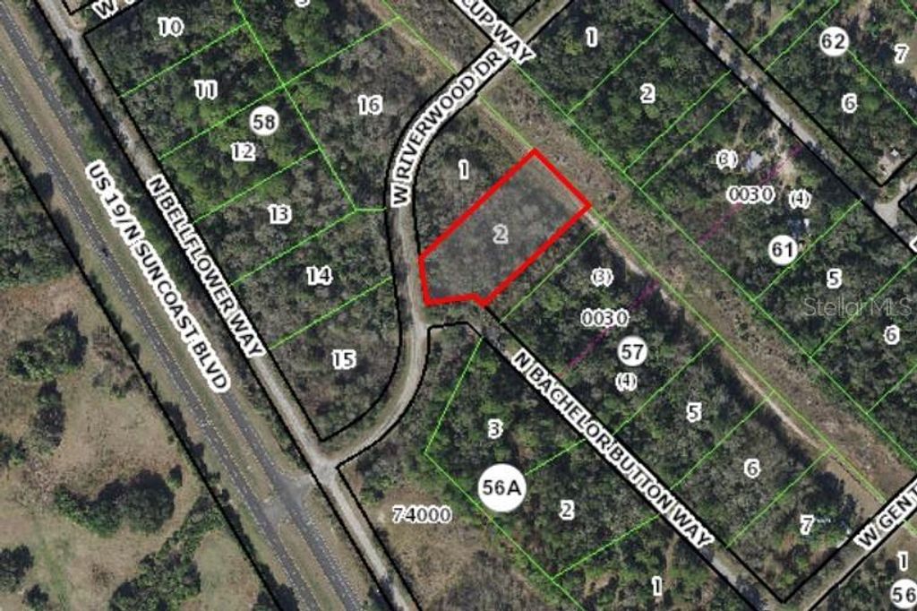 Photo of 8643 N Bachelor Button Way, Crystal River, FL 34428 (MLS # C7515615)