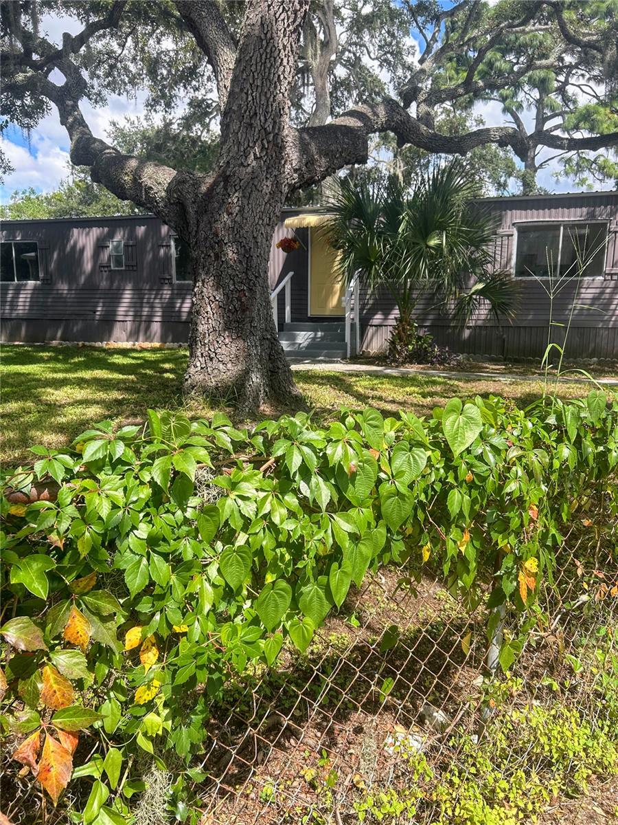 Photo of 6719 Celeste Lane, New Port Richey, FL 34653 (MLS # TB8554738)