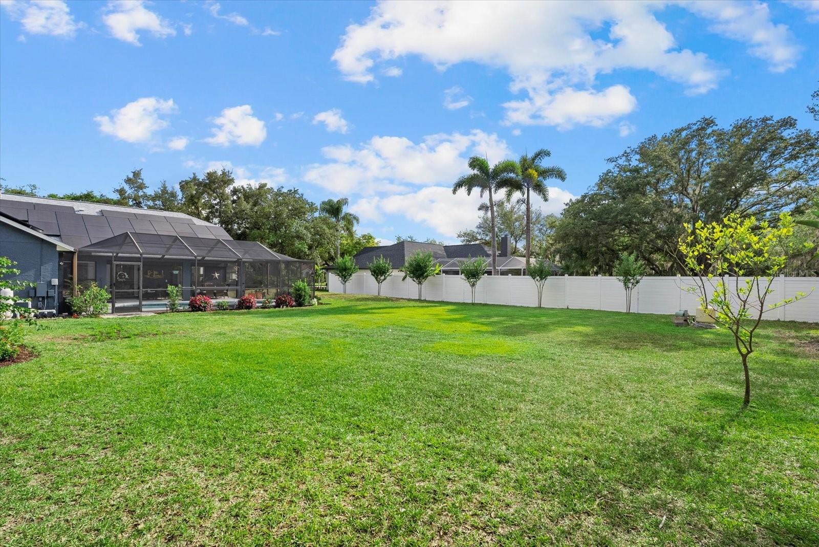 EAGLE WATCH - Residential