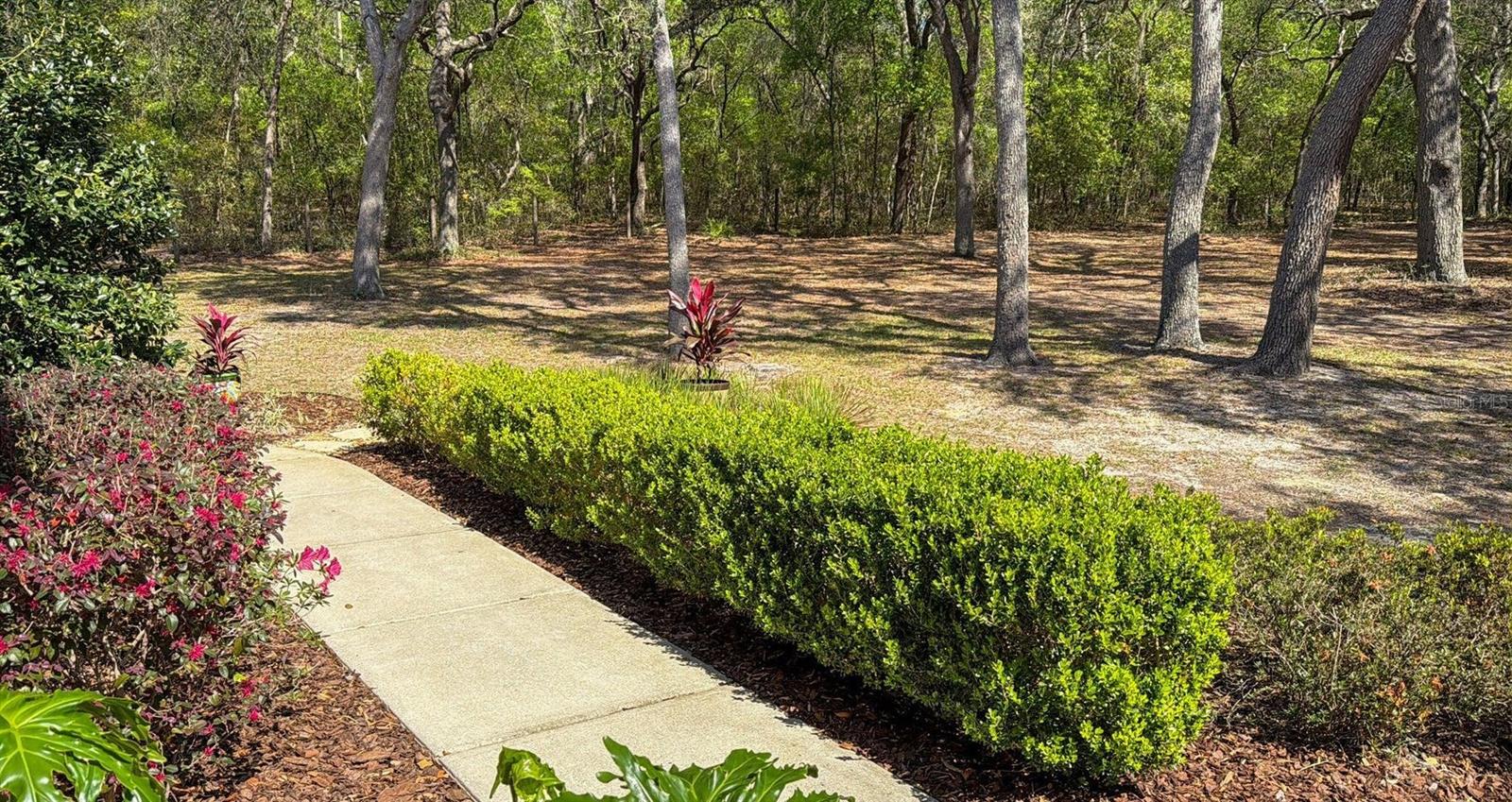 SWISHER LAKES 02 - Residential