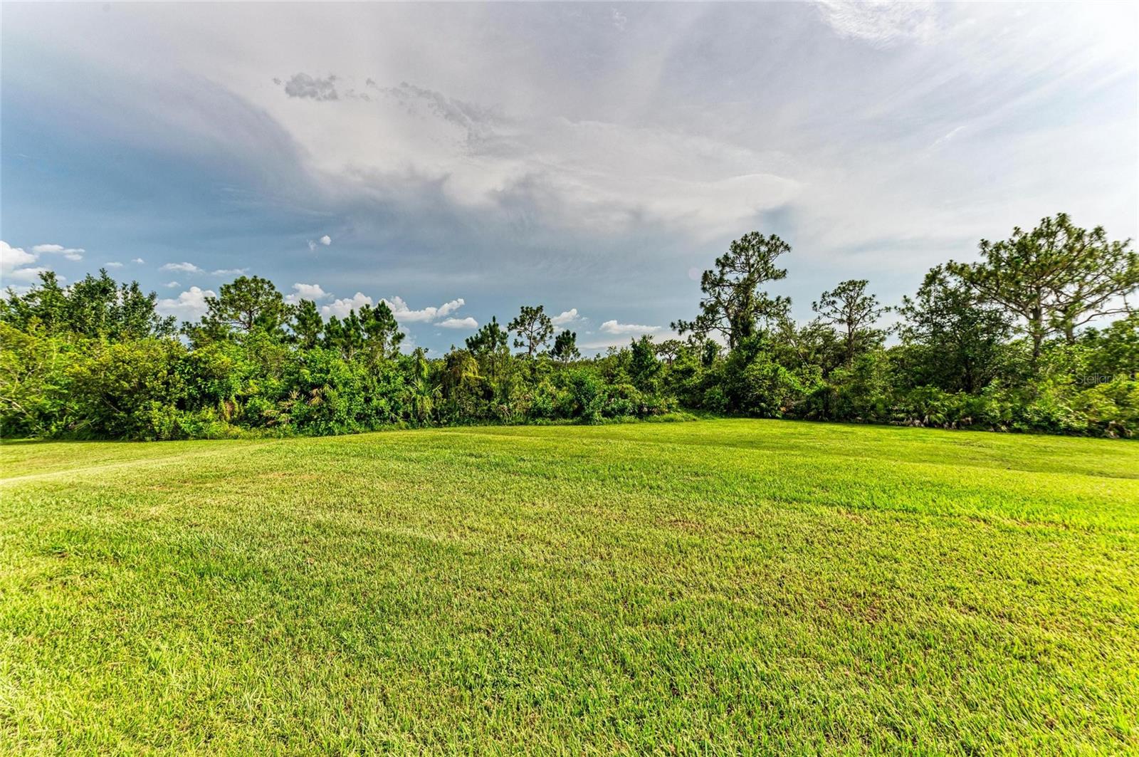 PANTHER RIDGE - Residential
