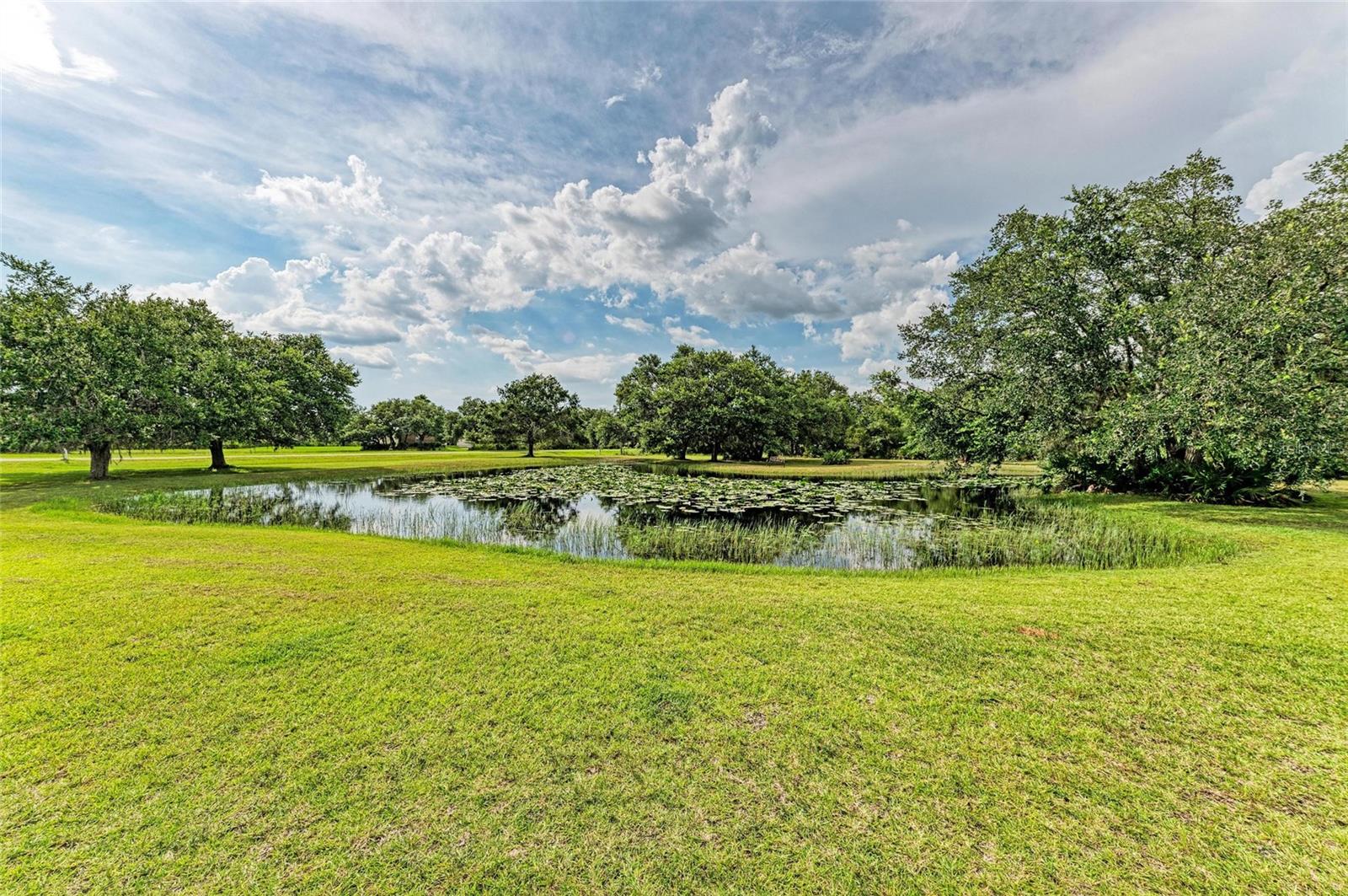 PANTHER RIDGE - Residential