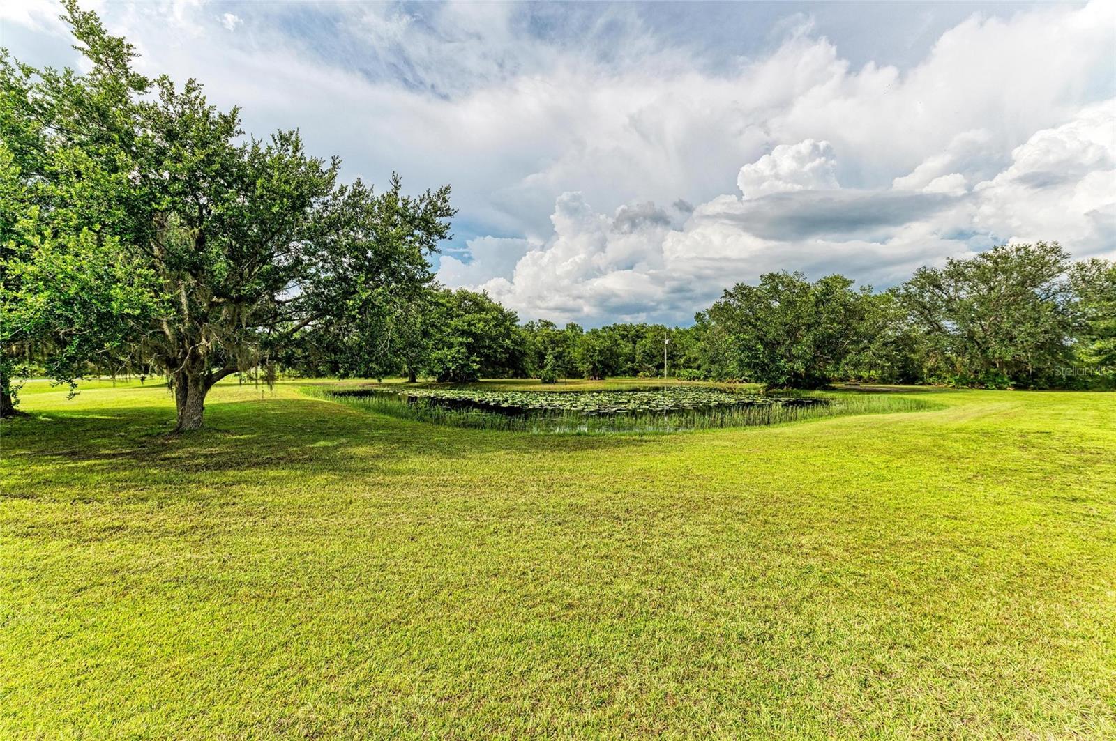 PANTHER RIDGE - Residential