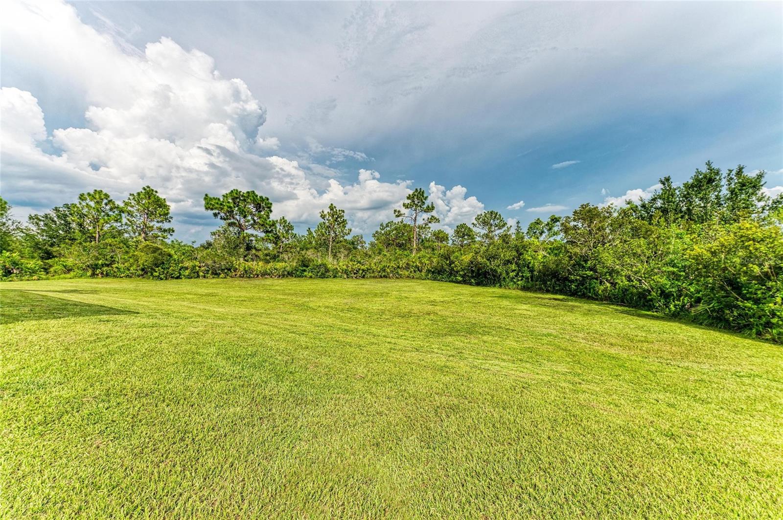 PANTHER RIDGE - Residential
