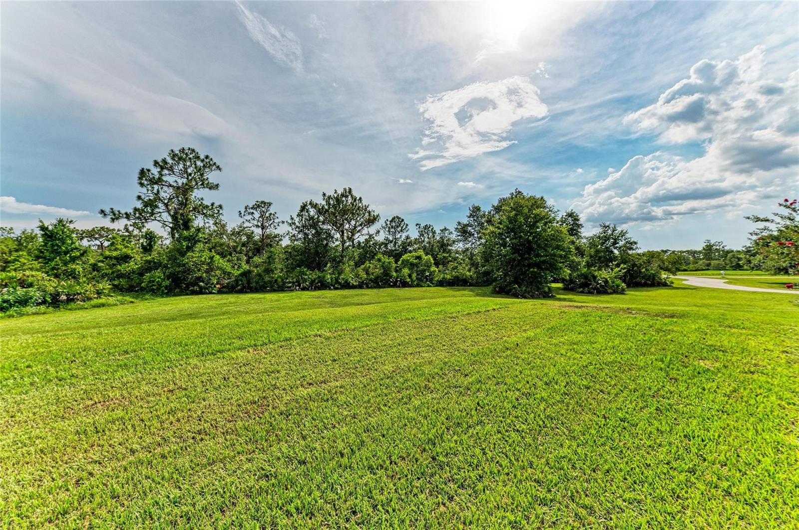 PANTHER RIDGE - Residential