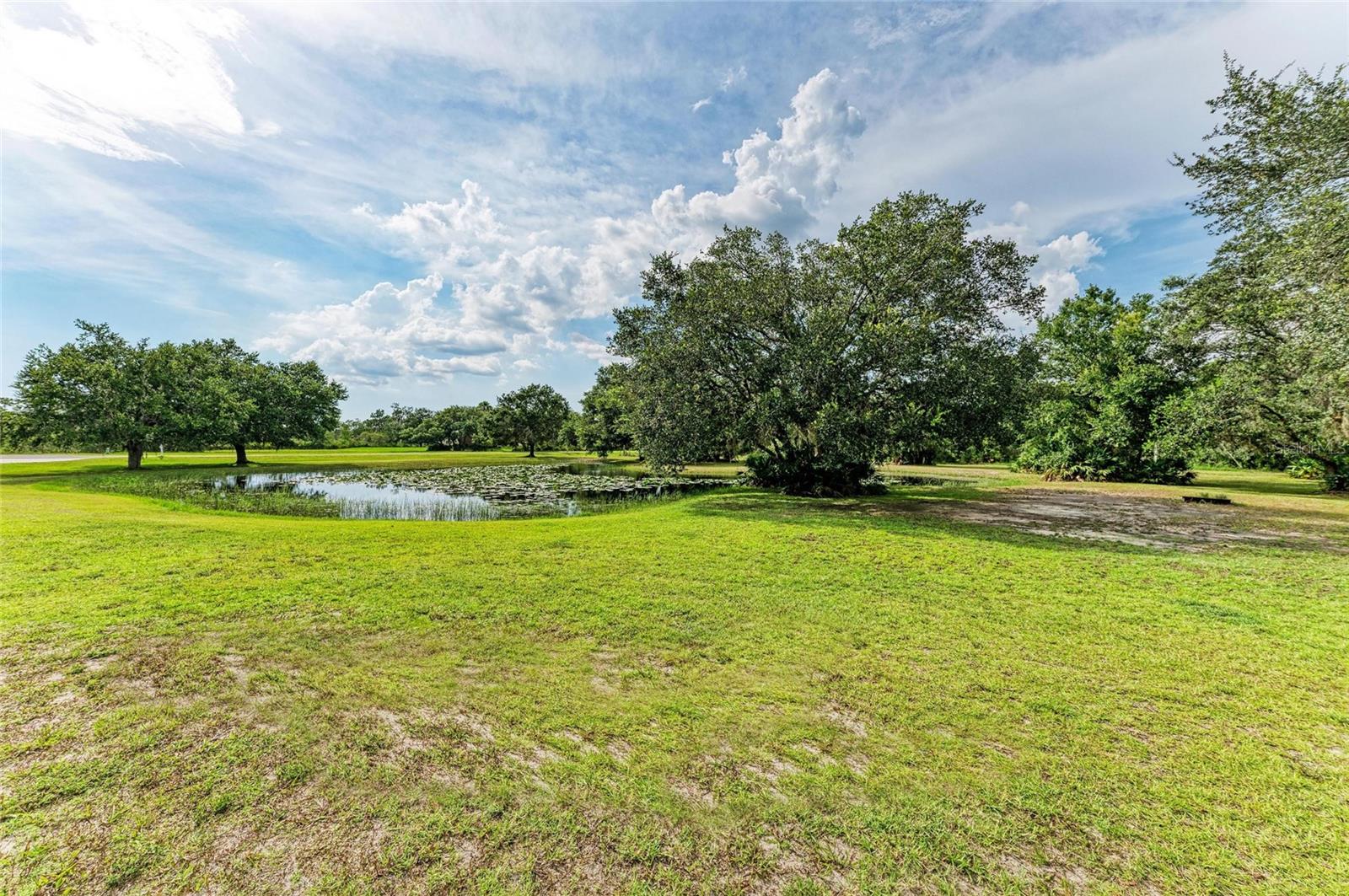 PANTHER RIDGE - Residential