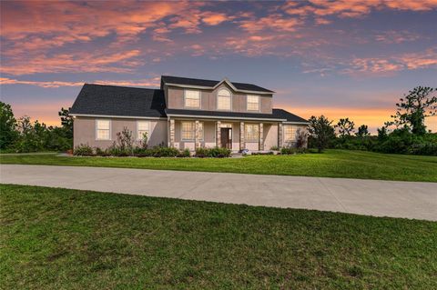 Photo of 8331 241st Street E, Myakka City, FL 34251 (MLS # A4658704)