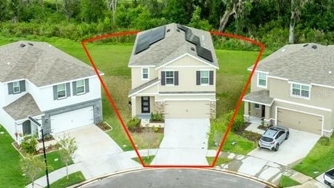 Photo of 1680 Hazy Sea Drive, Plant City, FL 33565 (MLS # TB8394455)