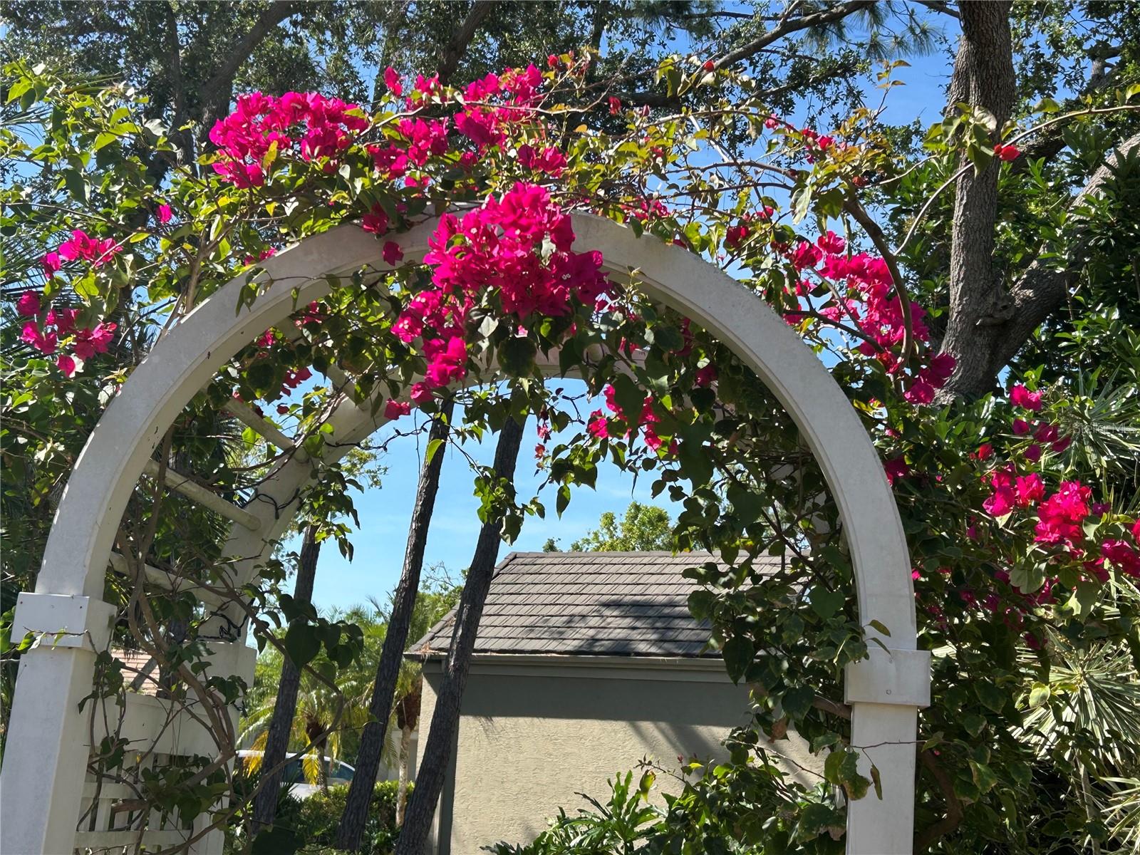 BISHOPSCOURT AT THE OAKS PRESERVE - Residential