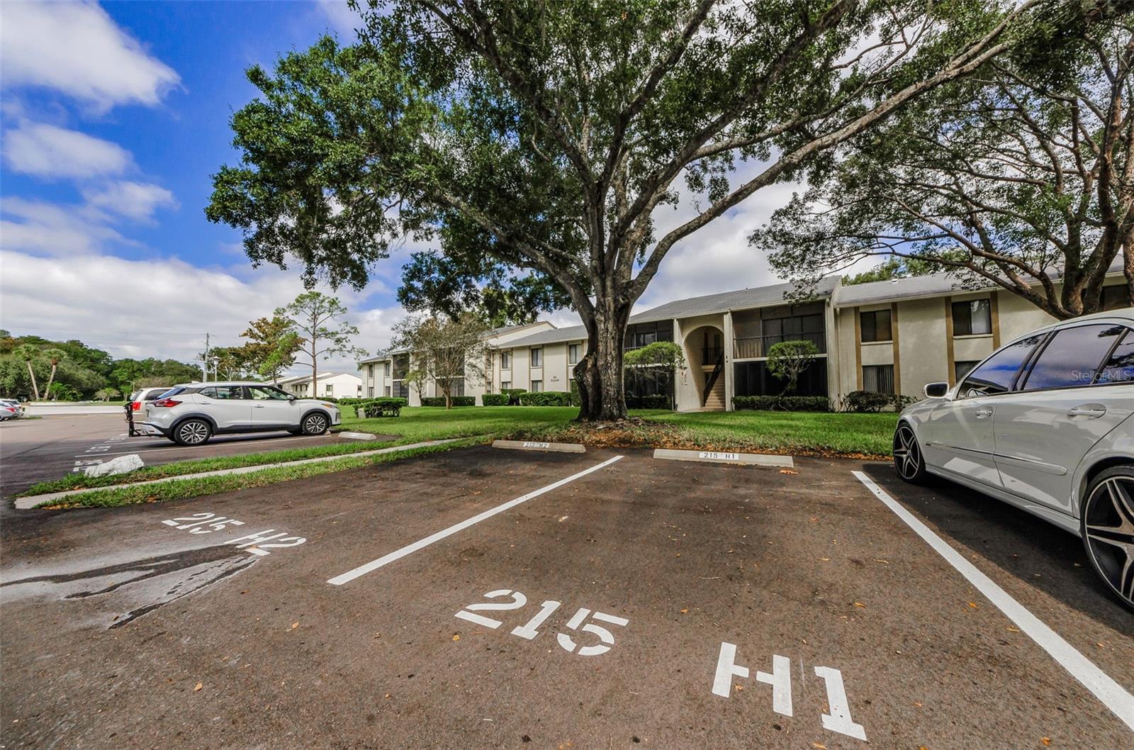 PINE RIDGE AT LAKE TARPON VILLAGE - Residential