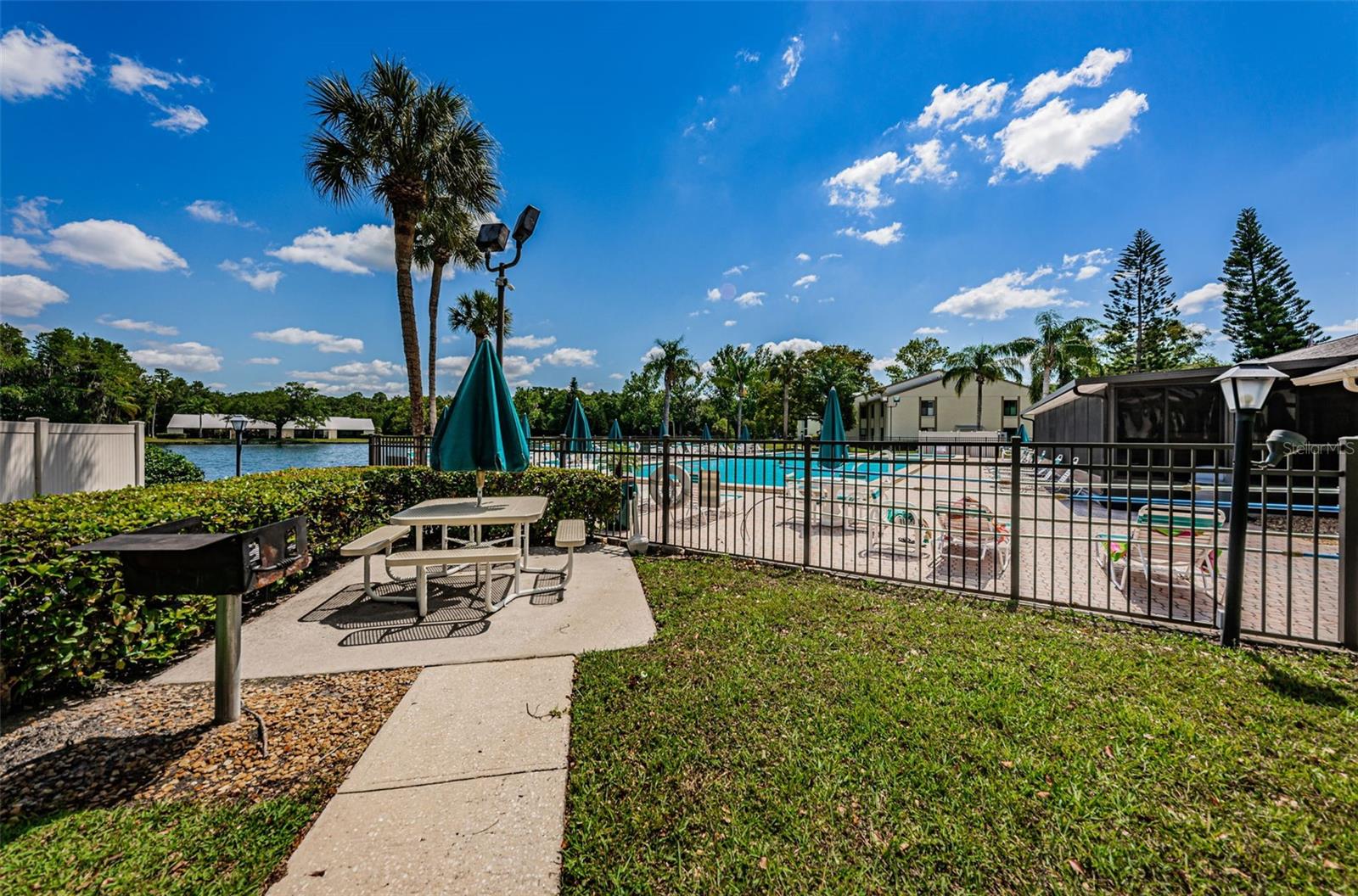 PINE RIDGE AT LAKE TARPON VILLAGE - Residential