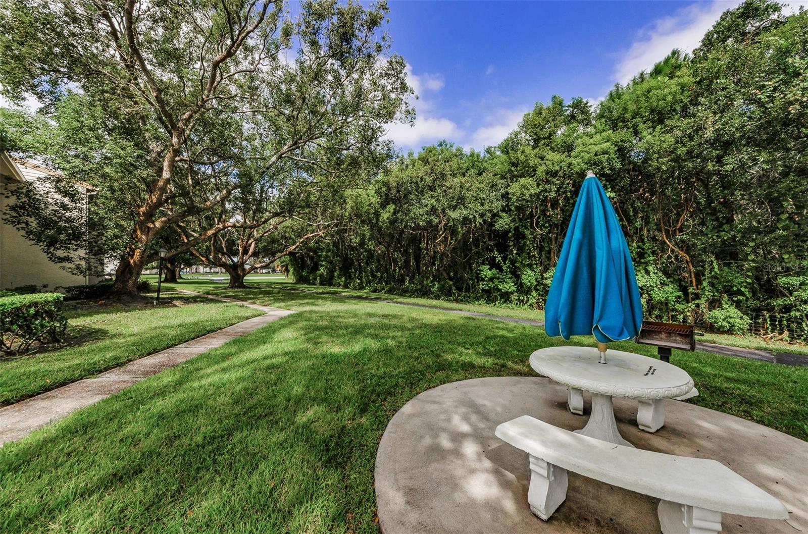 PINE RIDGE AT LAKE TARPON VILLAGE - Residential