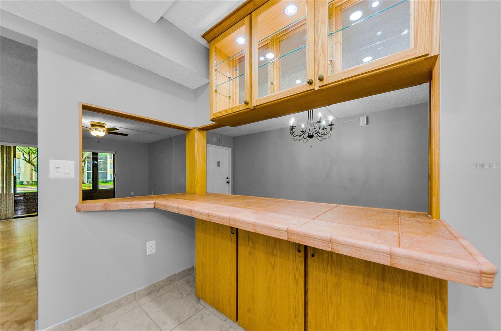PINE RIDGE AT LAKE TARPON VILLAGE - Residential