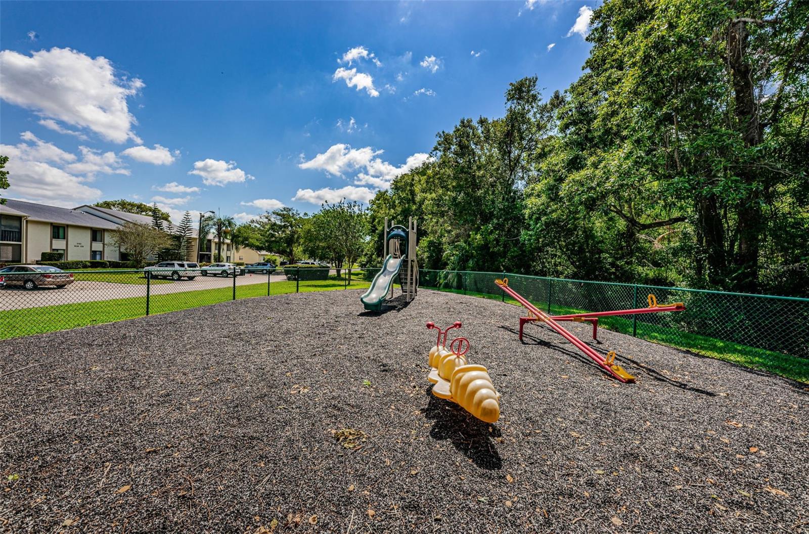 PINE RIDGE AT LAKE TARPON VILLAGE - Residential