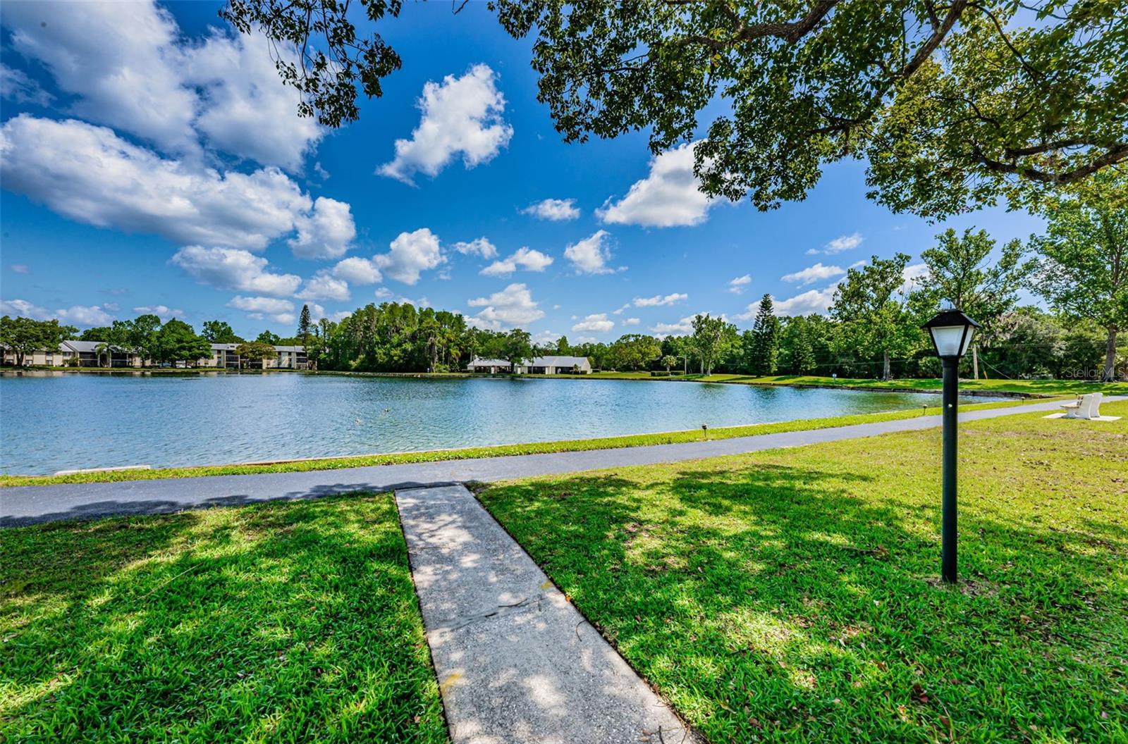 PINE RIDGE AT LAKE TARPON VILLAGE - Residential