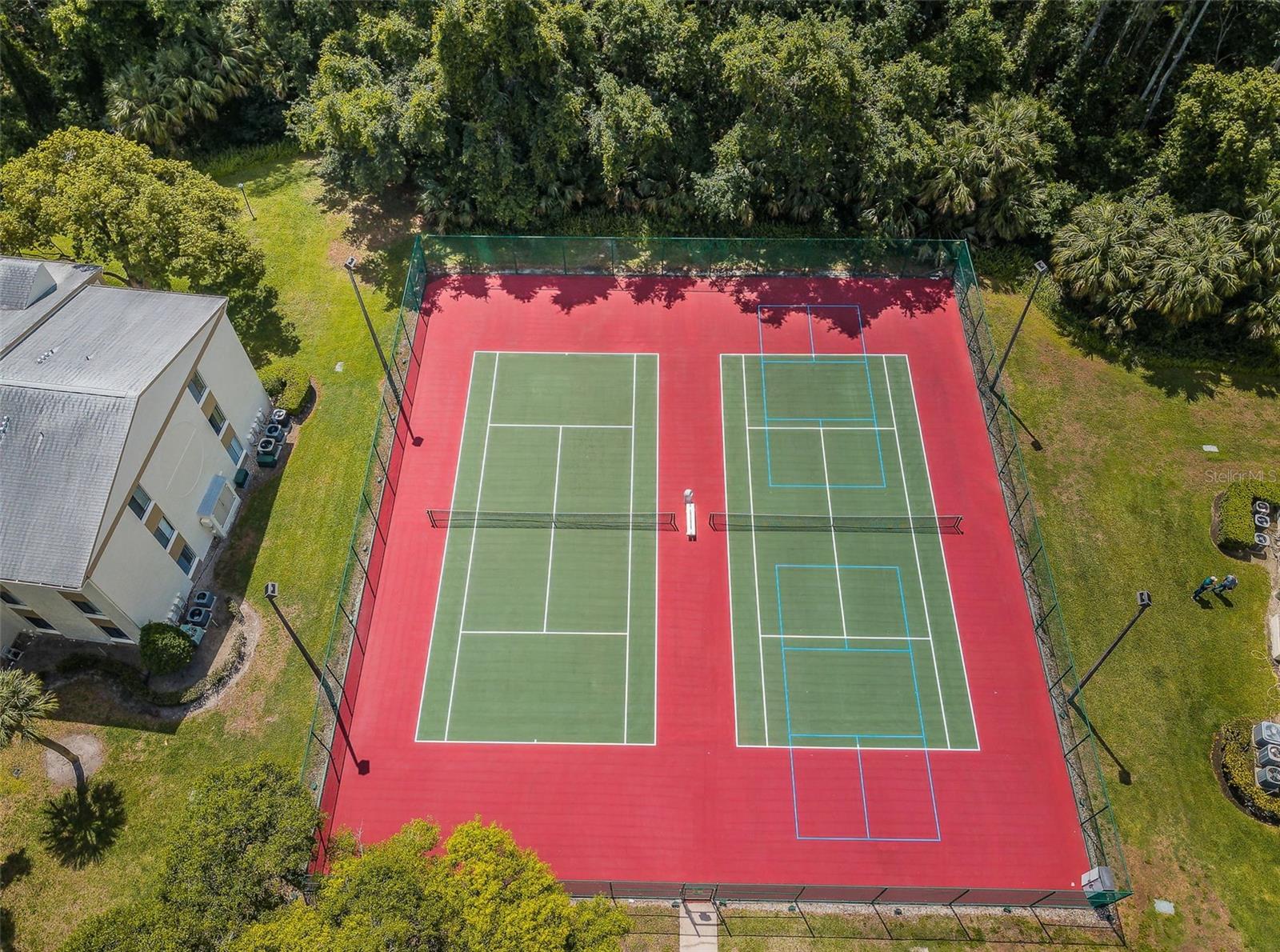 PINE RIDGE AT LAKE TARPON VILLAGE - Residential