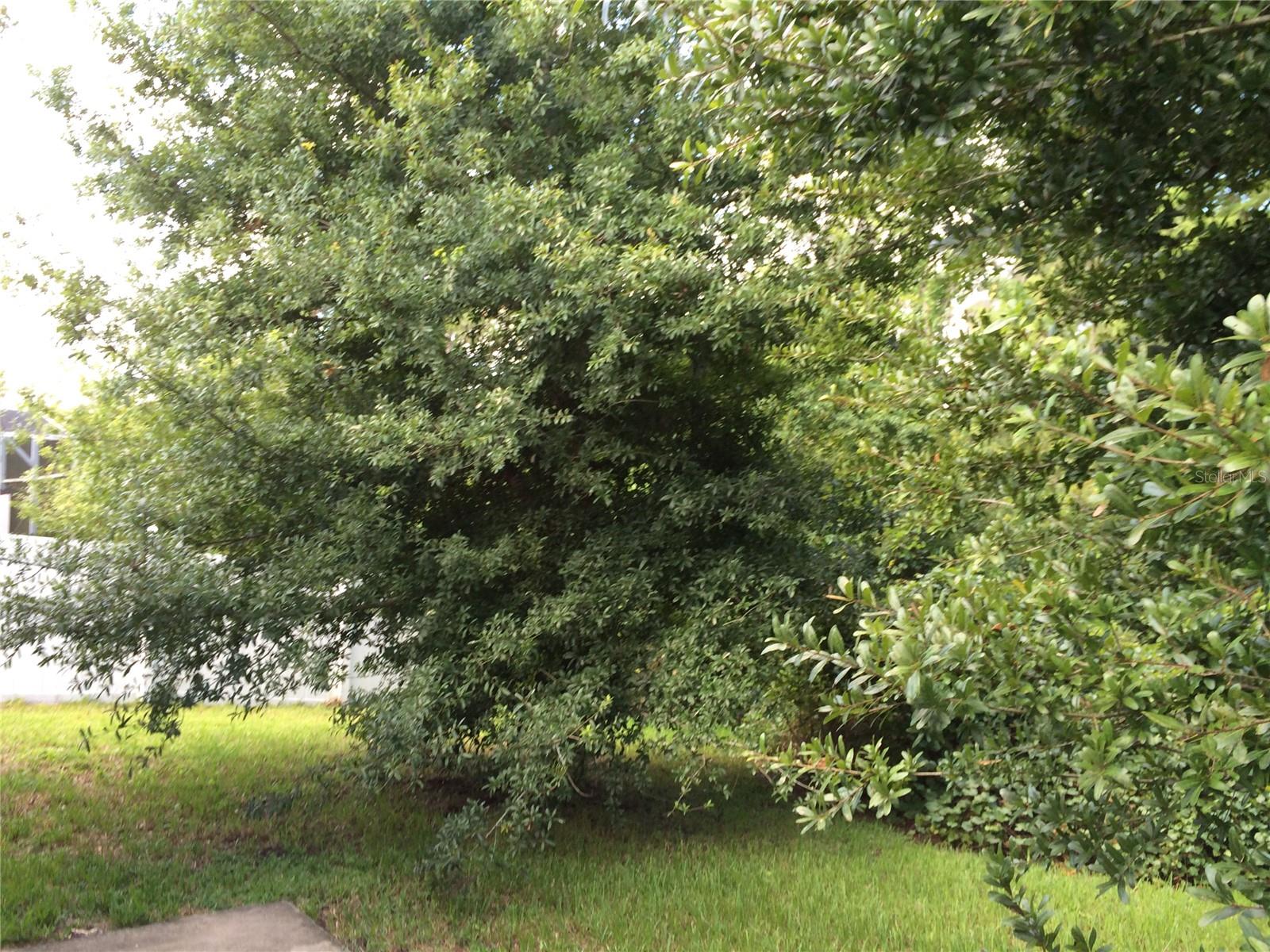 LA VINA PH 02 B - Residential Lease