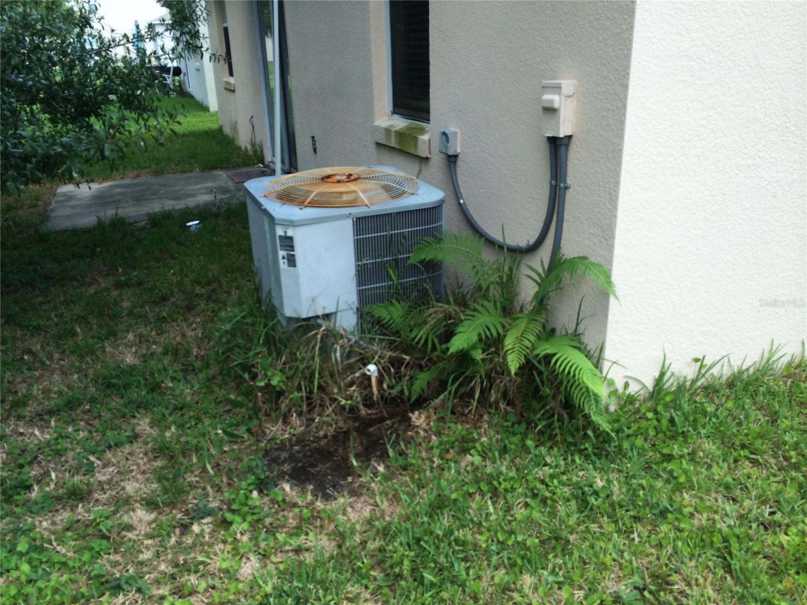 LA VINA PH 02 B - Residential Lease