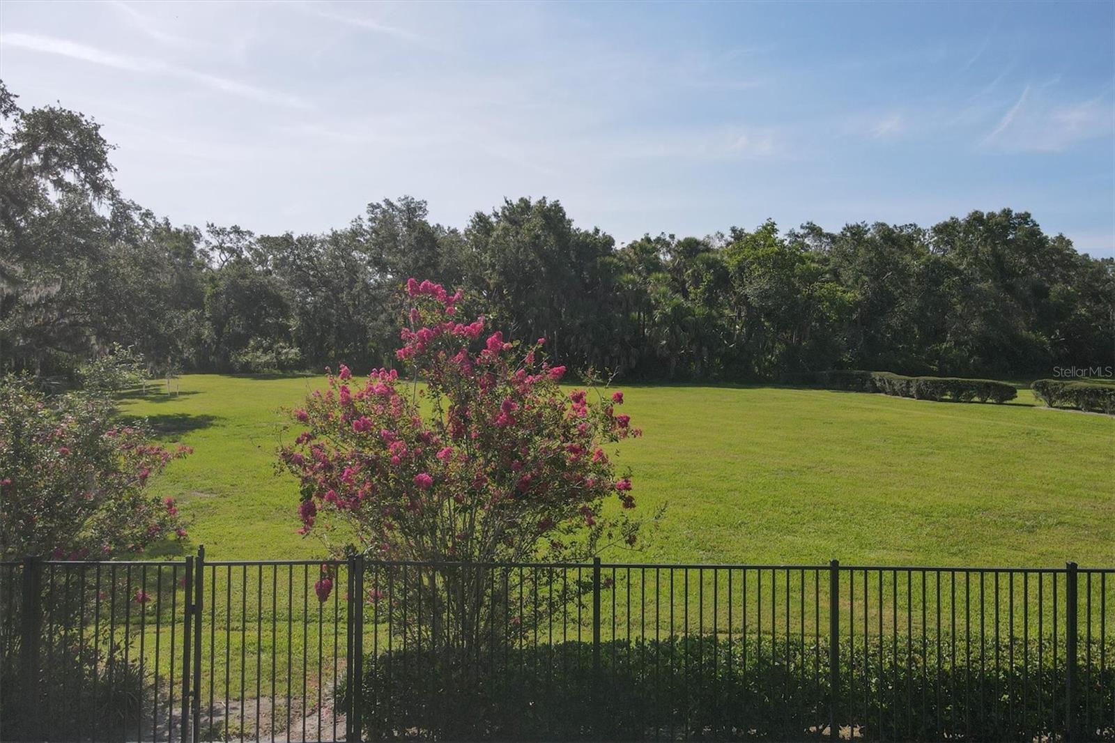 FOREST AT THE HI HAT RANCH - Residential