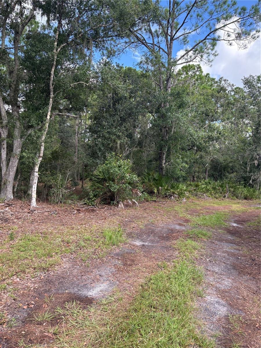 Photo of 5010 Wauchula Road, Myakka City, FL 34251 (MLS # A4709769)