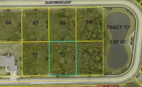 11 BLUE HERON LOOP BUNNELL FL 32110