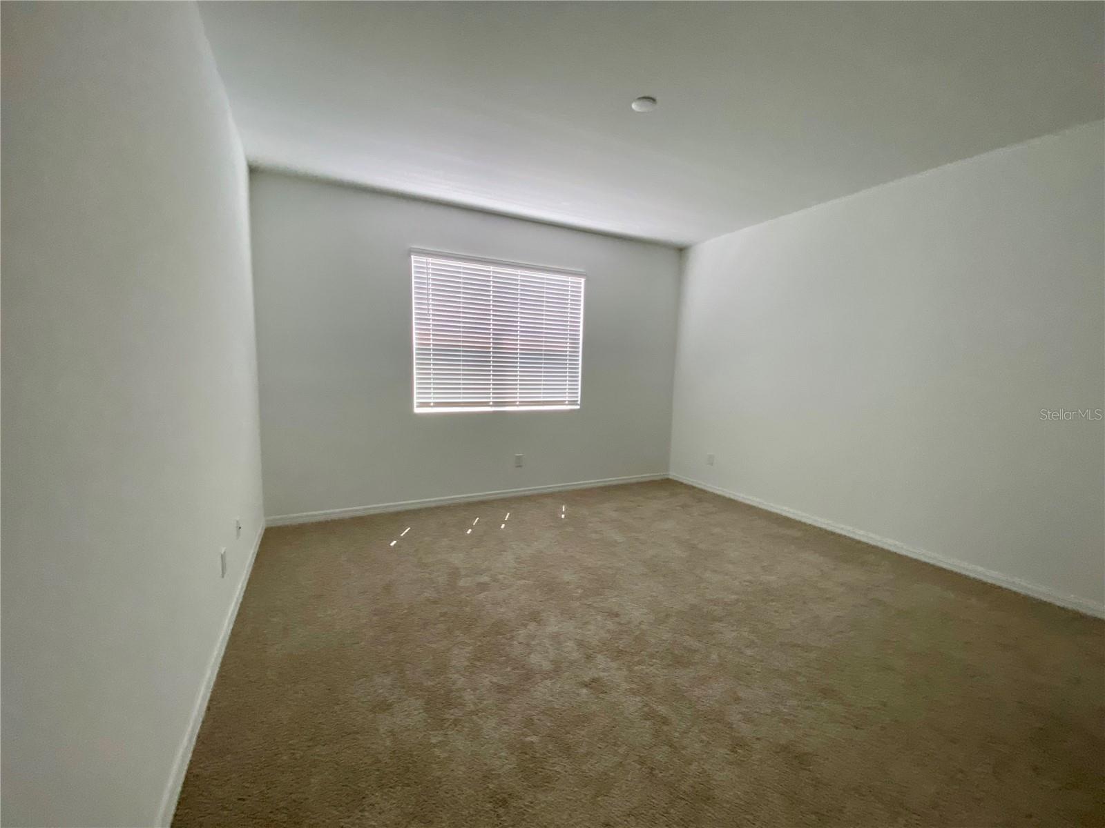 2668 SPIDER LILY COURT