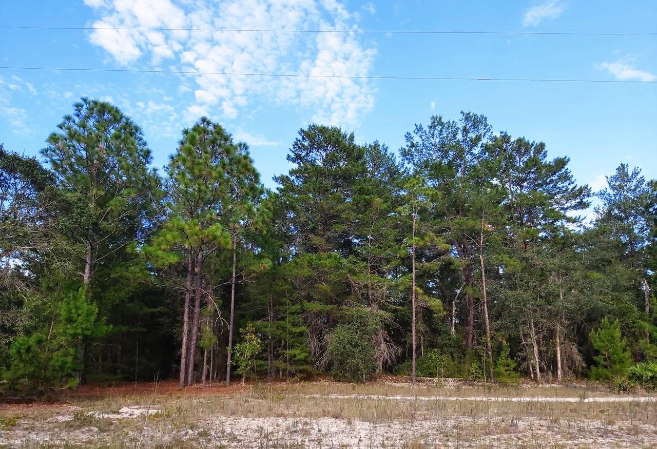 PARTIALLY CLEARED .47 ACRES IS WAITING FOR YOU! Bring your ideas- build your dream home or manufactured home and make it reality! Property is zoned Flood Zone X meaning it is high and dry. Close to the Public Boat Ramp. Near many lakes for boating and fishing, schools, RV Parks, shopping and restaurants. Less than 2 miles to Junior Lake, Church Lake and Violet Lake. 3.7 miles to Lake Grandin Public Boat Ramp. Approximately 17 miles to Palatka-Home of the World Famous Blue Crab Festival, Azalea Festival, popular fishing and boat tournaments. Approximately 17 miles to Keystone Heights. Approximately 30 miles to Salt Springs and Fort McCoy and Gainesville is just 32 miles away. About 44 miles to A1A and Historic St. Augustine.