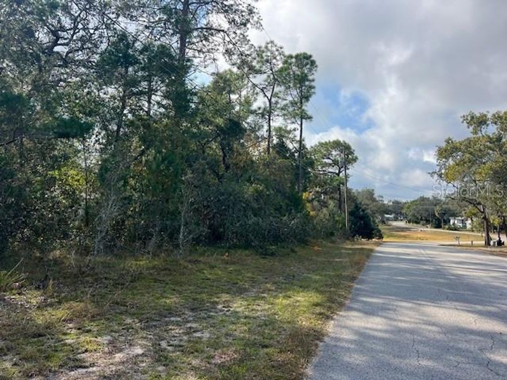 Photo of 3328 Horseshoe Ln, Spring Hill, FL 34606 (MLS # TB8450947)