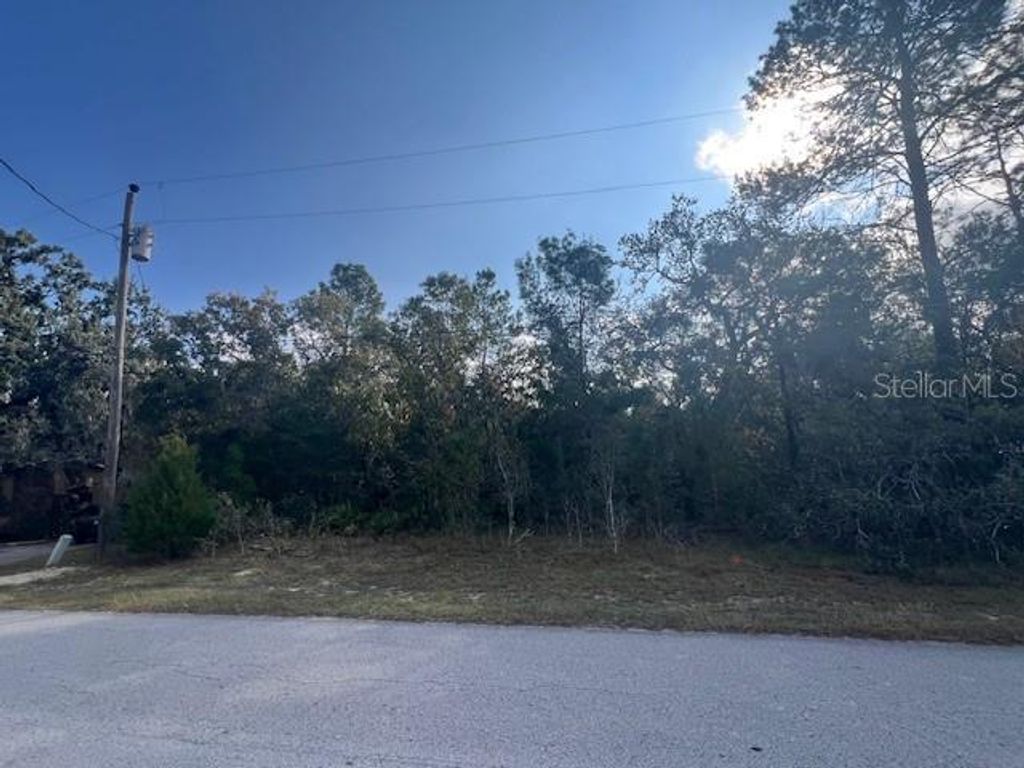 Photo of 3328 Horseshoe Ln, Spring Hill, FL 34606 (MLS # TB8450947)