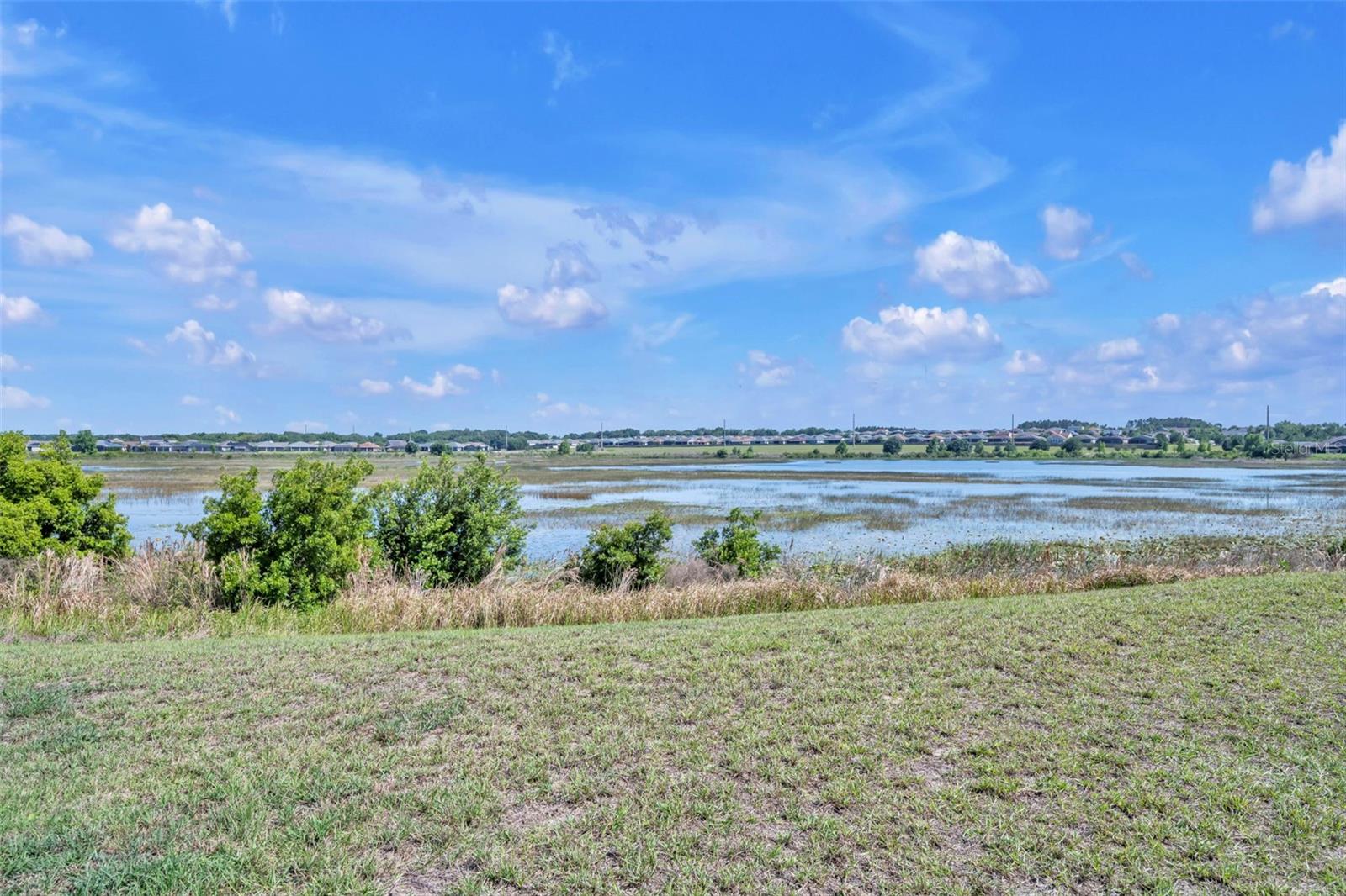 CASCADES OF GROVELAND - Residential