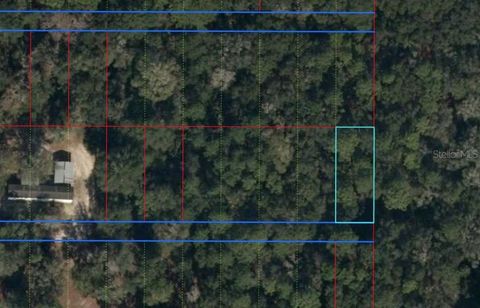 Lot 31 NW 55 PLACE CHIEFLAND FL 32626
