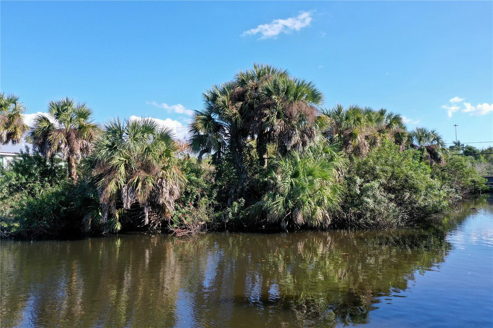 WYCHEWOOD SHORES - Land