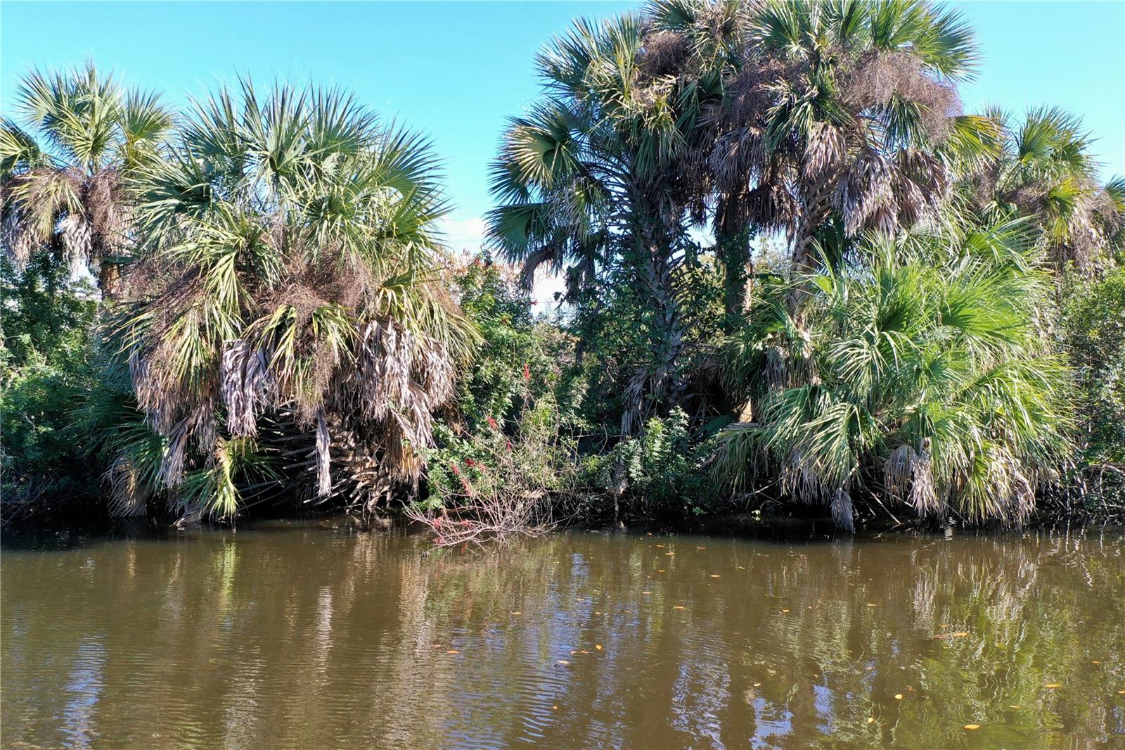 WYCHEWOOD SHORES - Land