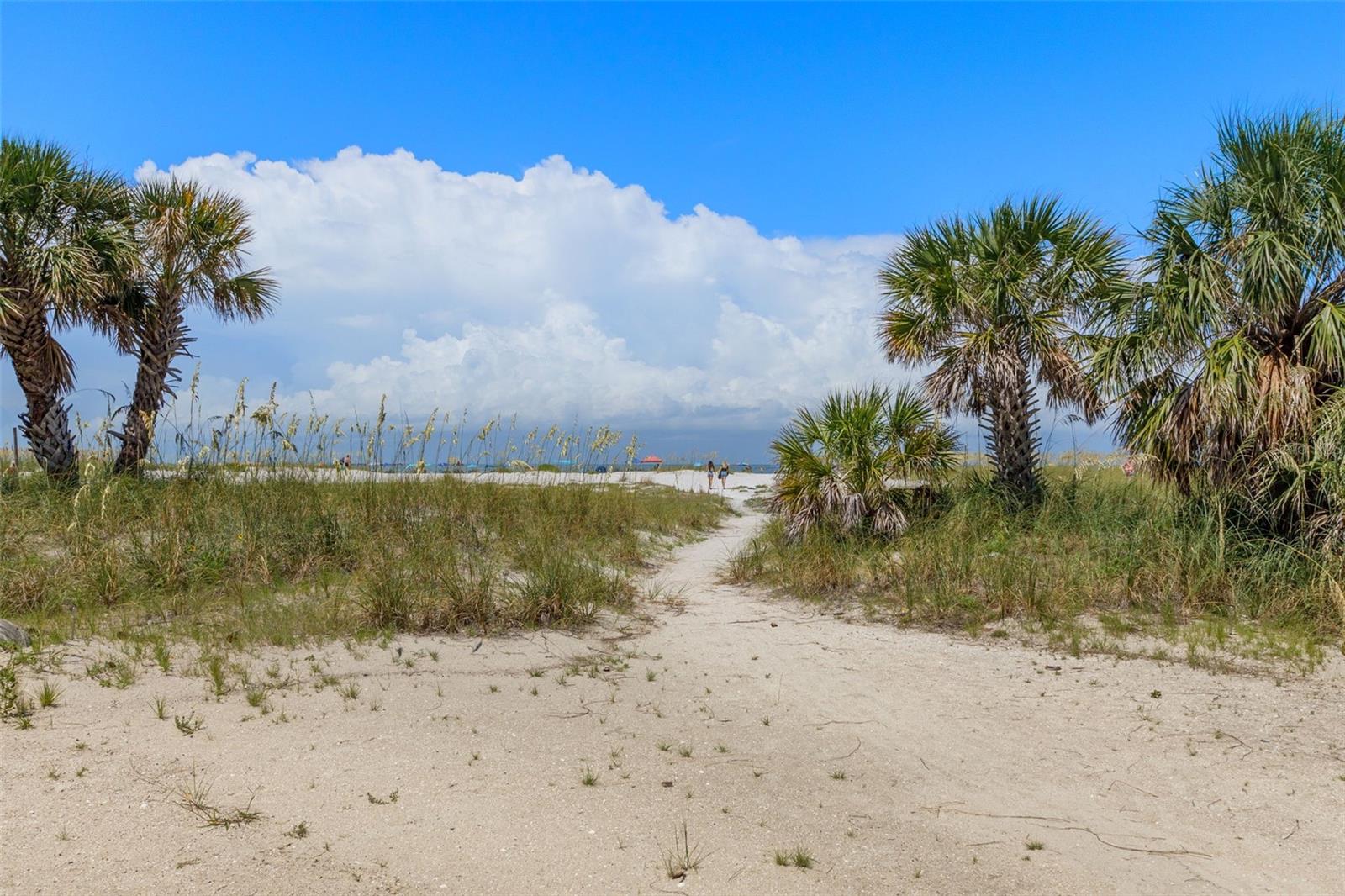 BEACH VILLAS OF TREASURE ISLAND - Residential