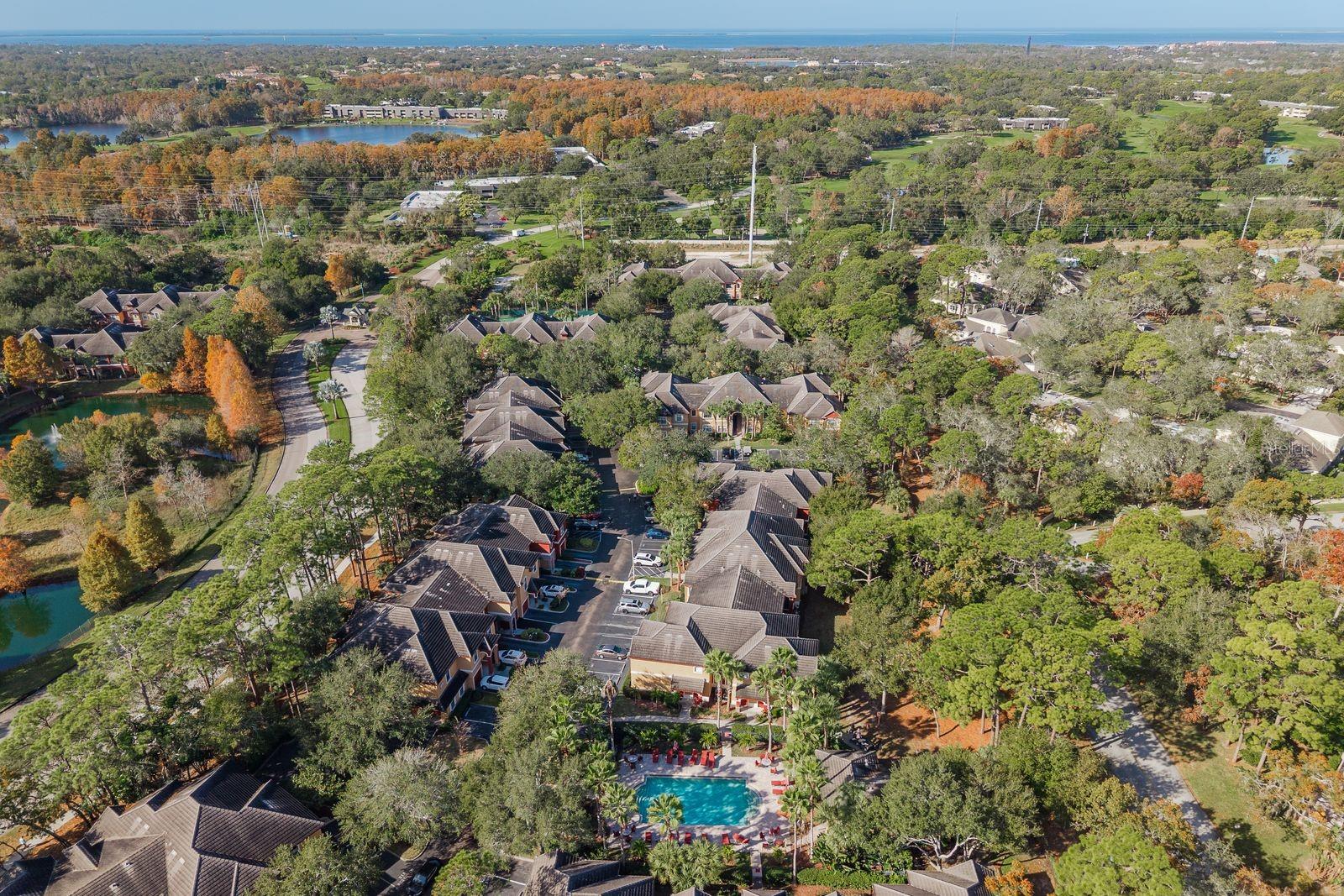 TUSCANY AT INNISBROOK CONDO - Residential Lease