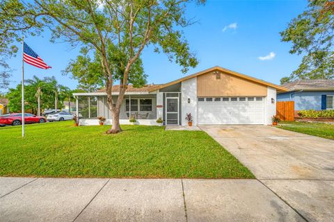 A home in PALM HARBOR